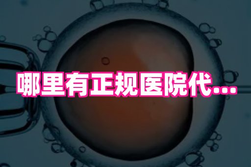 权威助孕网 1
