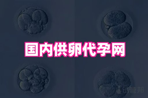 权威助孕网 3